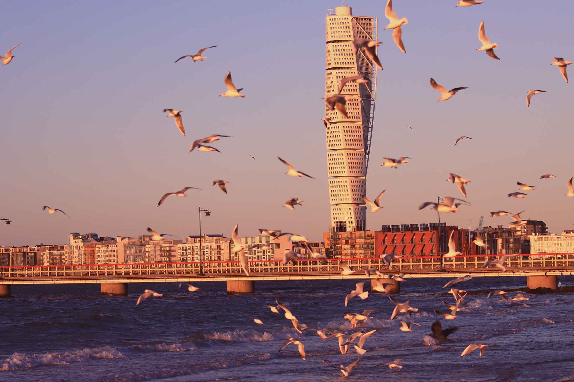 turning torso, malmö, bostäder vid vattnet